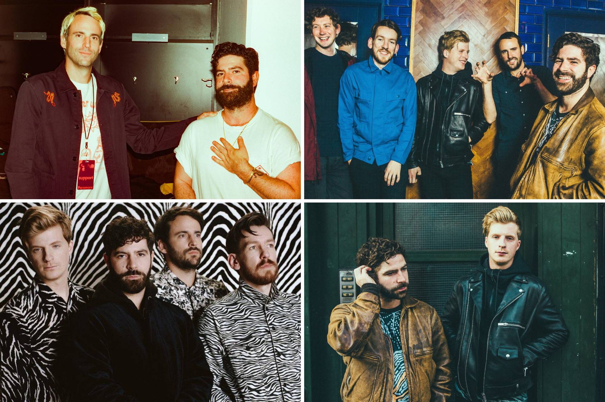 foals band