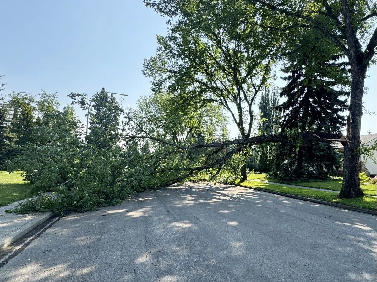 Edmonton experiences widespread flooding, power outages after Saturday thunderstorm